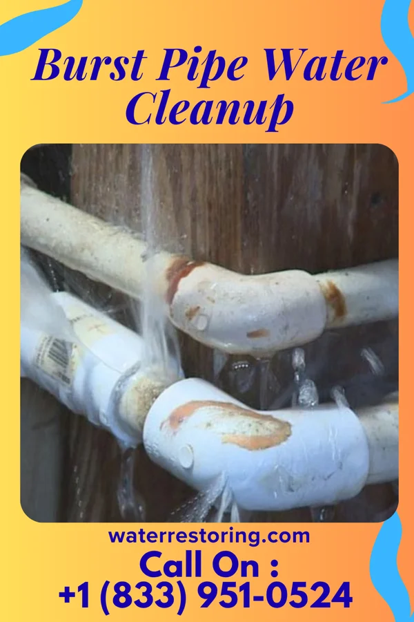 Burst Pipe Water Cleanup in Brandsville, MO