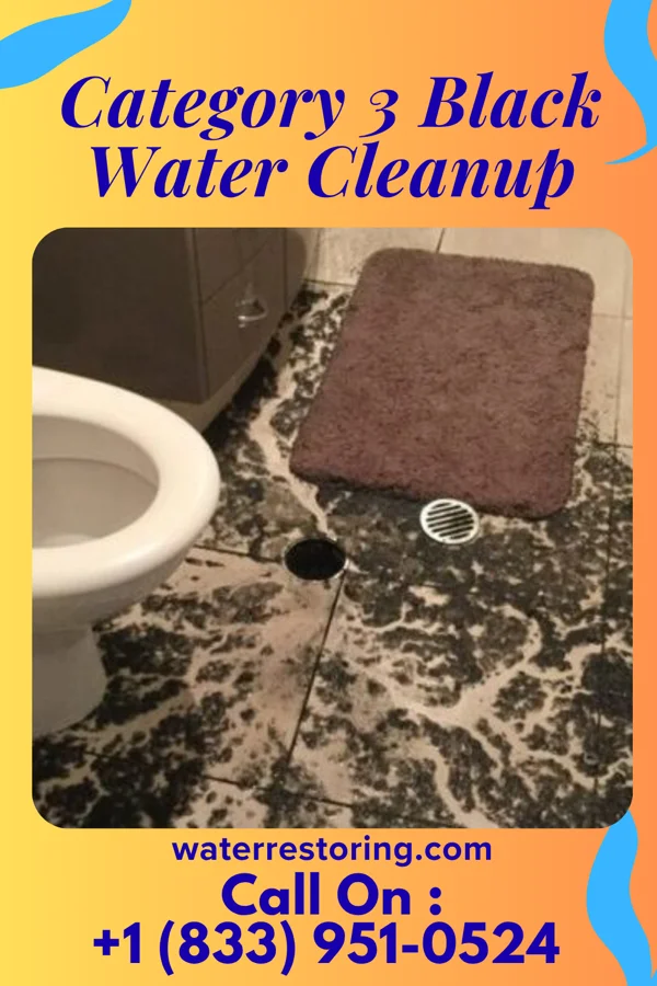 Category 3 Black Water Cleanup in Brandsville, MO
