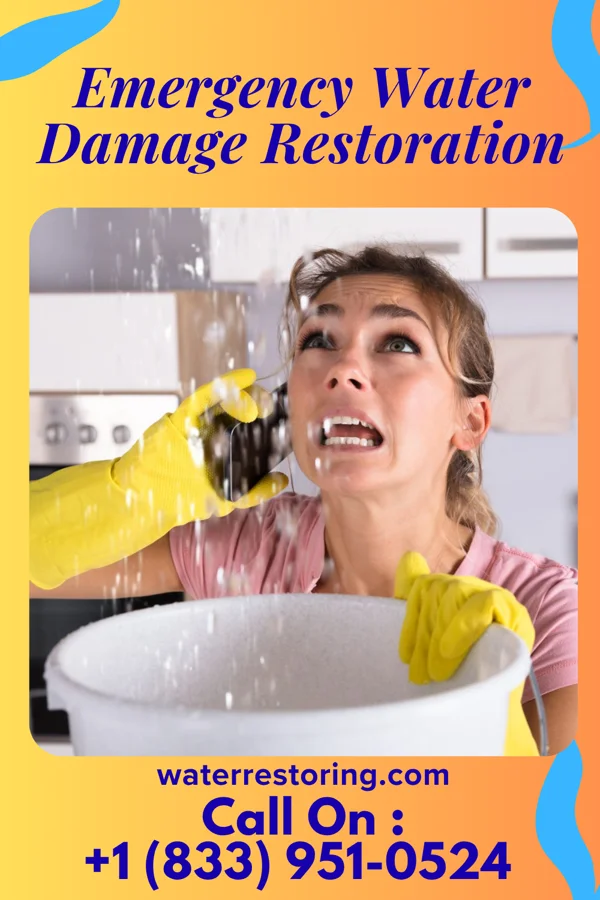 Emergency Water Damage Restoration in Brandsville, MO