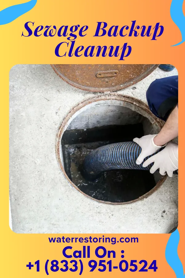 Sewage Backup Cleanup in Brandsville, MO