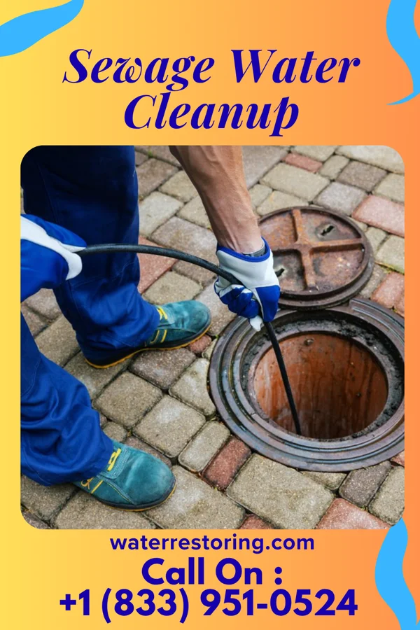 Sewage Water Cleanup in Brandsville, MO