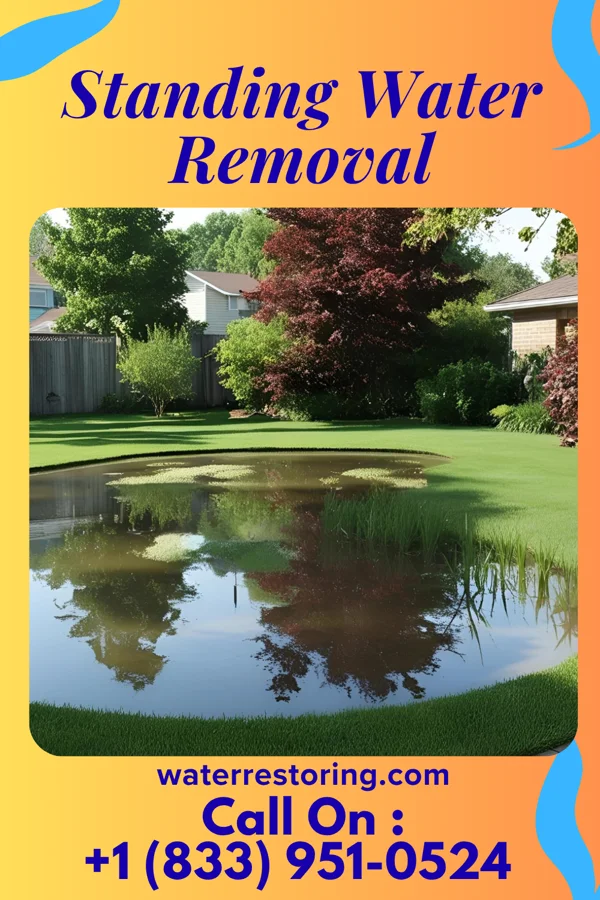 Standing Water Removal in Brandsville, MO